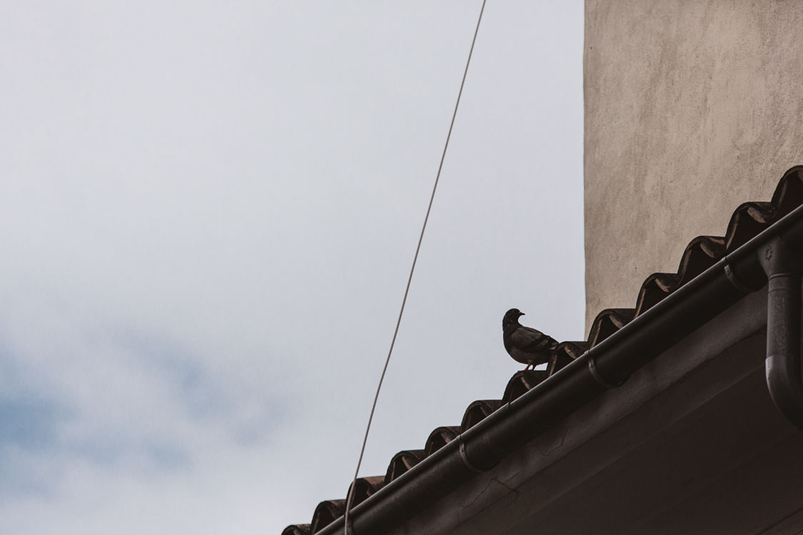 Biel Grimalt - PERSONAL - CONFINADOS